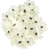 Blommor, pastell