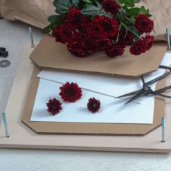 Blomsterpress