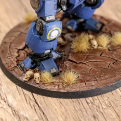 Citadel Skulls