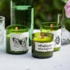Clear Stamps, bugs&butterflies