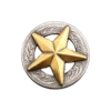 Concho texas star