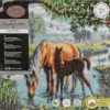 Crystal Art Kits Canvas Fell Ponies