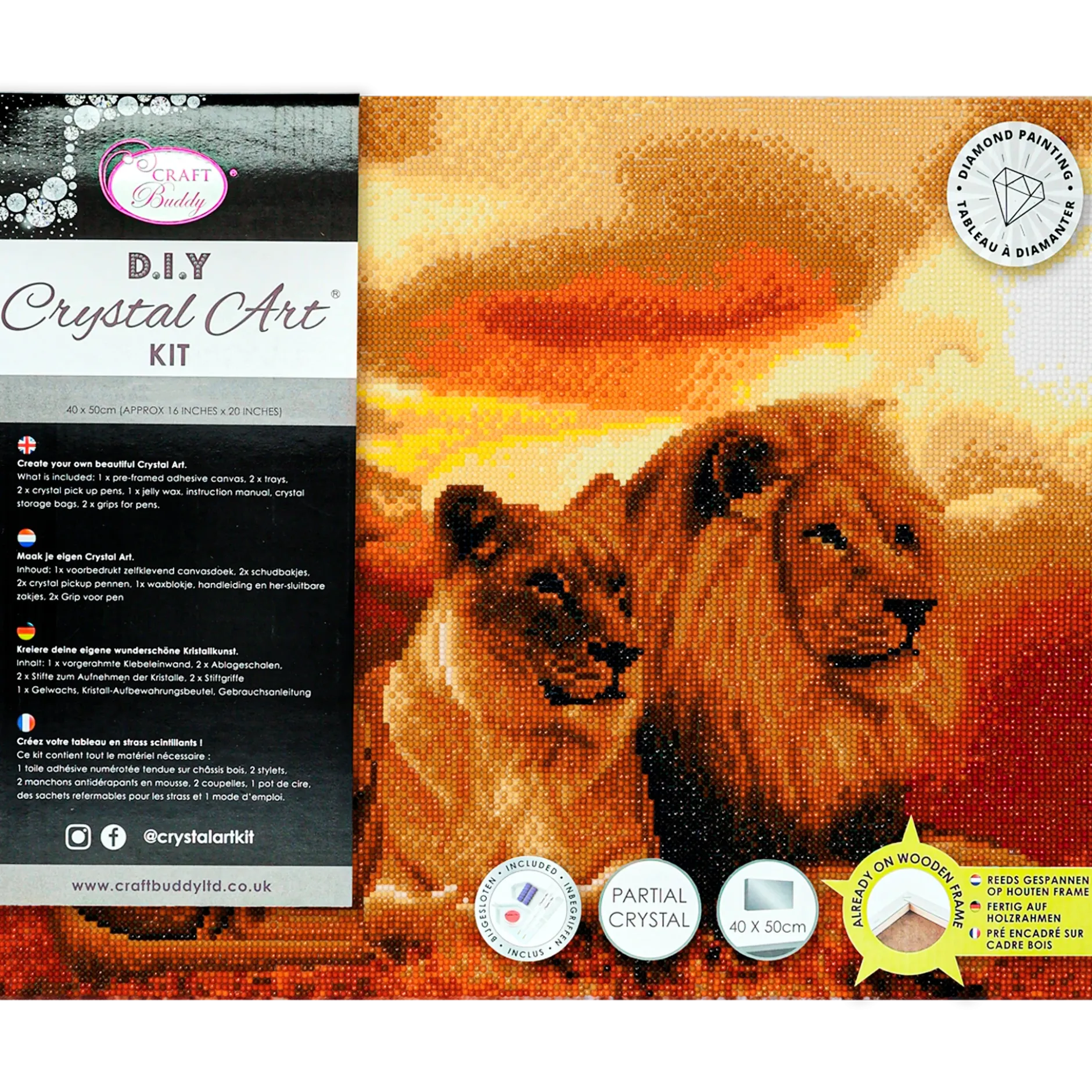Crystal Art Kits Canvas Lions of the Savannah