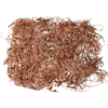 Curly moss