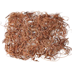 Curly moss