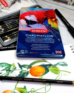 Derwent Chromaflow, 12 st