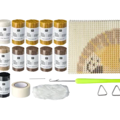 DIY Rya set Lejon
