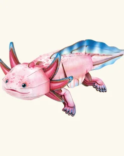 3D pussel, Axolotl