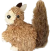 Ekorre