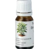 Eterisk olja, Tea-tree