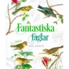 Fantastiska Fåglar Målarbok