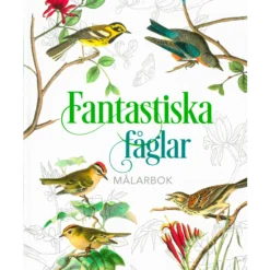 Fantastiska Fåglar Målarbok