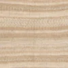 Fashion cotton merino lace, beige ombré