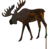 Älg på stick