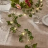 Ljusslinga Ivy