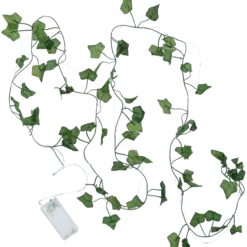 Ljusslinga Ivy