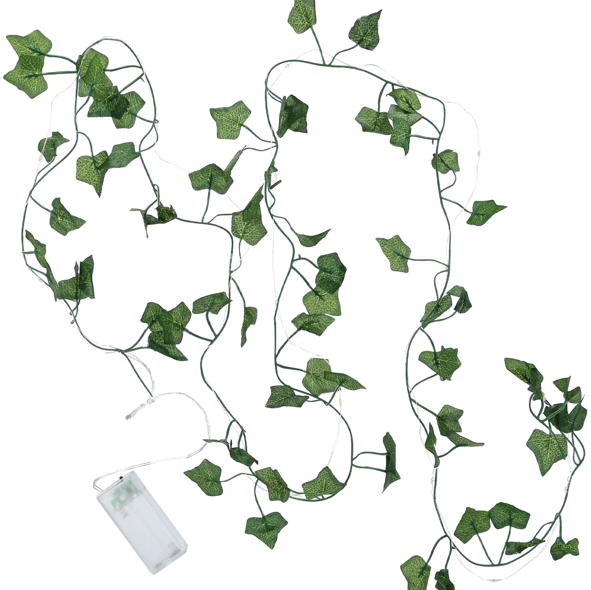 Ljusslinga Ivy
