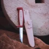 Morakniv Limited Edition 2026