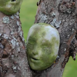 Mossfärg