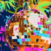 Paint by number Discokula