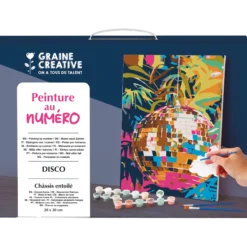 Paint by number Discokula