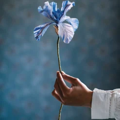 Pappersblommor
