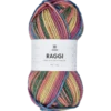 Raggi, sockgarn, field notes