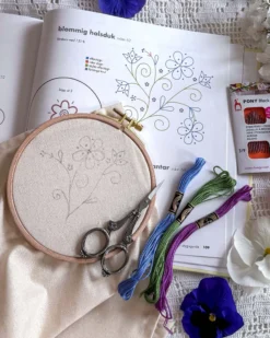 Set DMC Broderigarn, passion