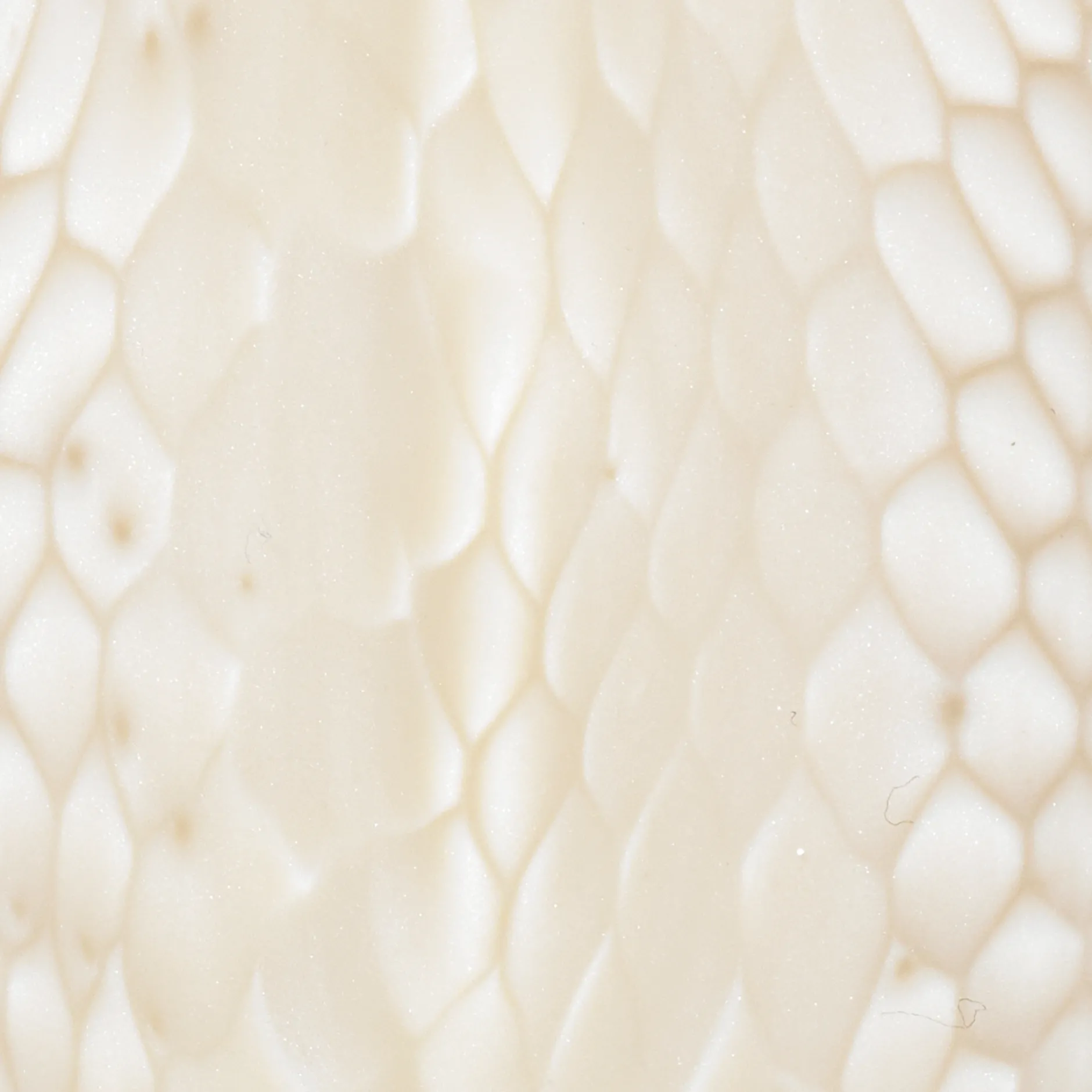 Skaftämne, ivory snake