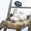 Snöpulver