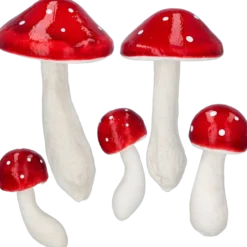 Svampar, Skogssvamp