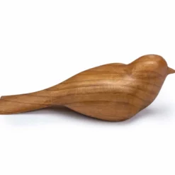 Tälja kit, fågel