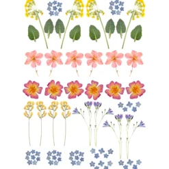 Transferark vårblommor